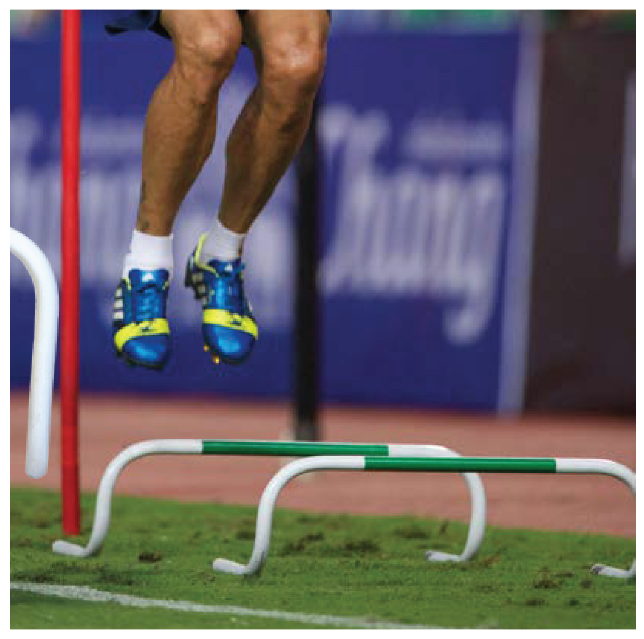 AGILITY HURDLE BOUNCE BACK
