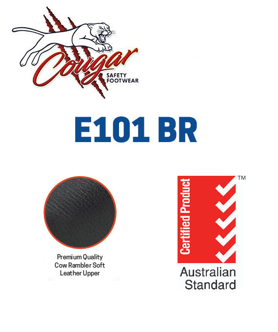 1654149548_e101-standards-01