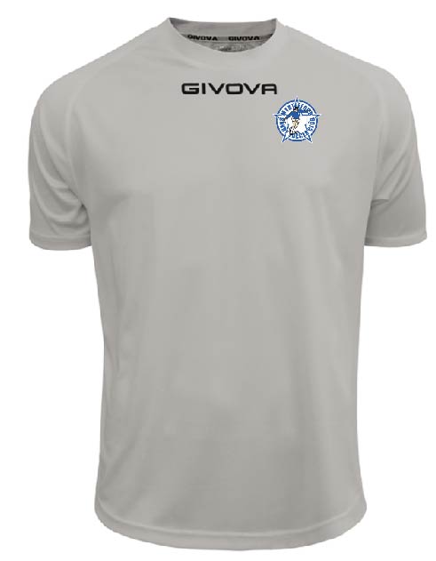 MSSC Training Top