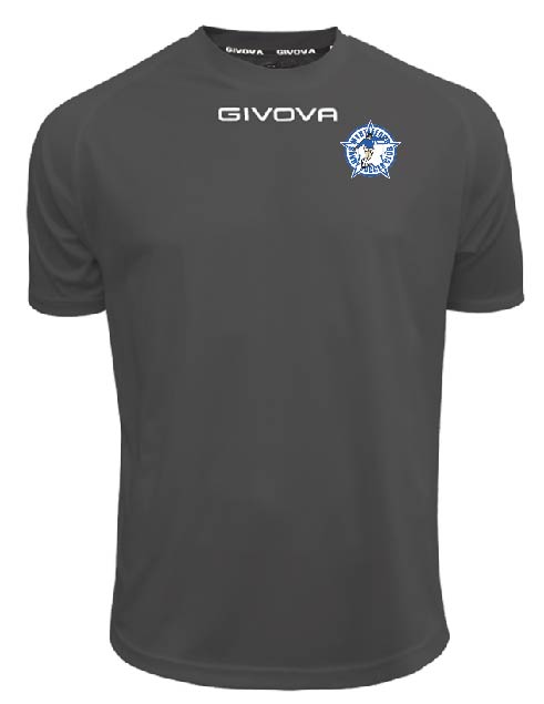 MSSC Training Top