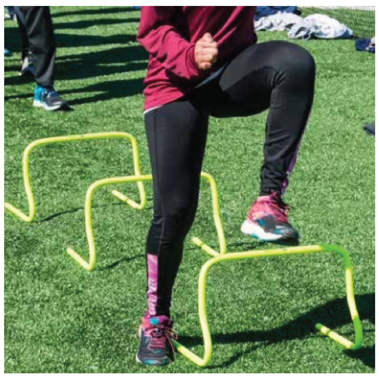 Agility Hurdles